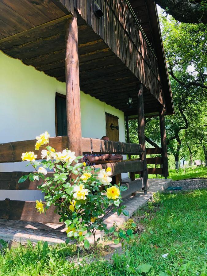 Еко Дім З Соломи Villa Solochin Exterior photo