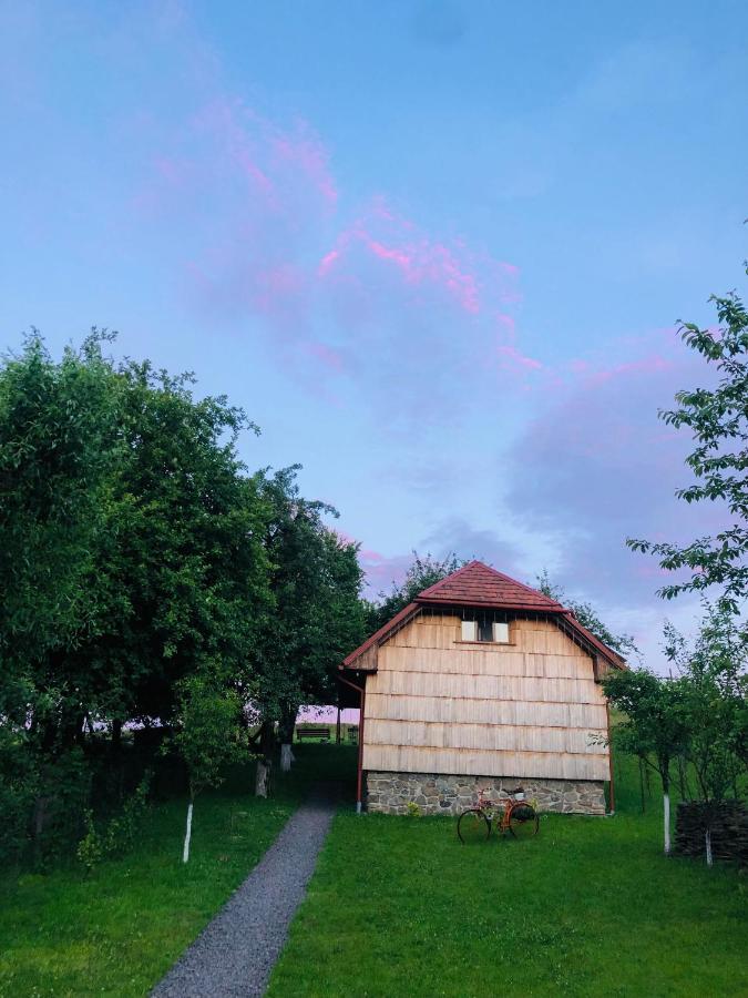 Еко Дім З Соломи Villa Solochin Exterior photo