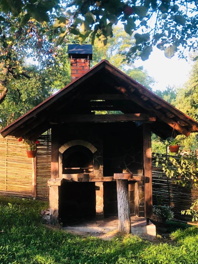 Еко Дім З Соломи Villa Solochin Exterior photo