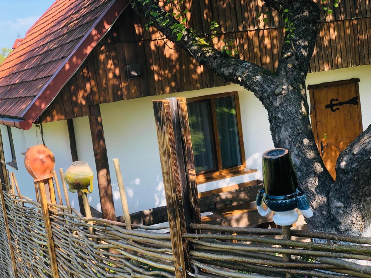Еко Дім З Соломи Villa Solochin Exterior photo