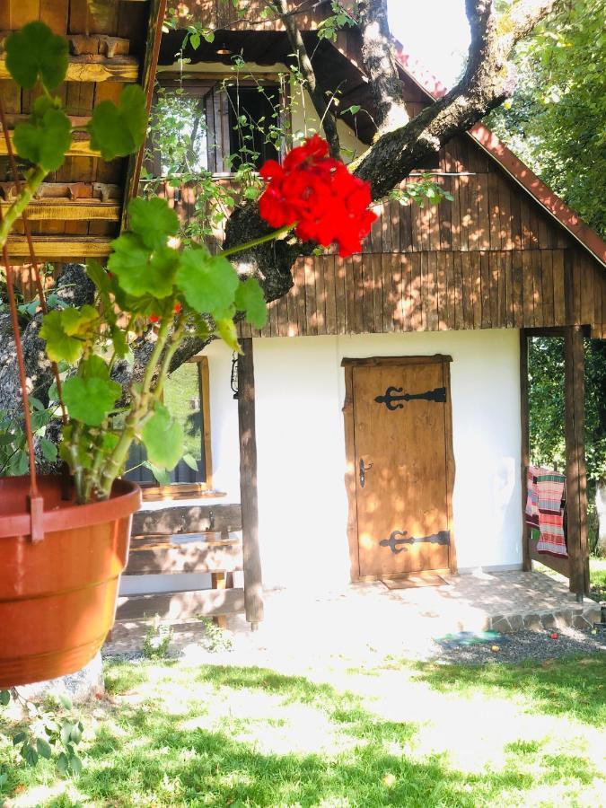 Еко Дім З Соломи Villa Solochin Exterior photo