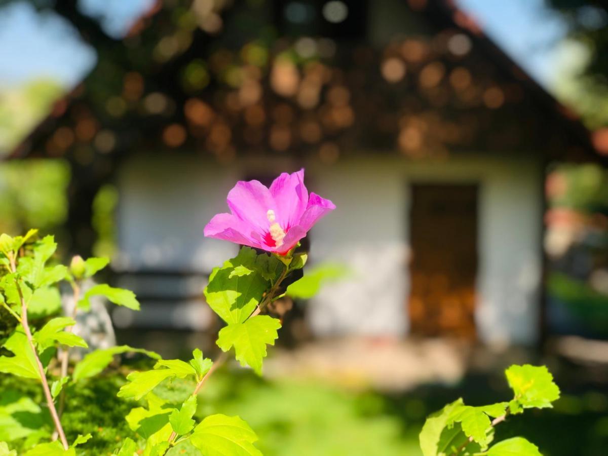 Еко Дім З Соломи Villa Solochin Exterior photo