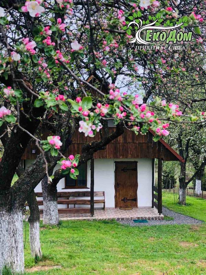 Еко Дім З Соломи Villa Solochin Exterior photo