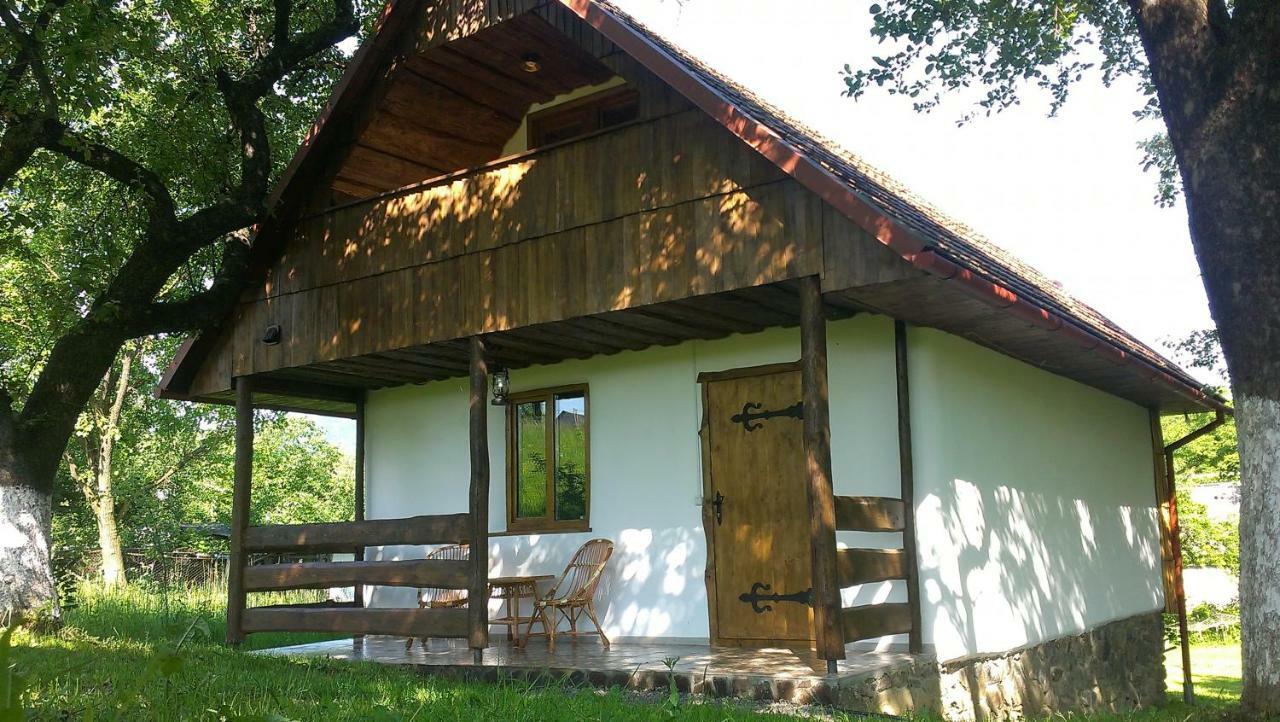 Еко Дім З Соломи Villa Solochin Exterior photo