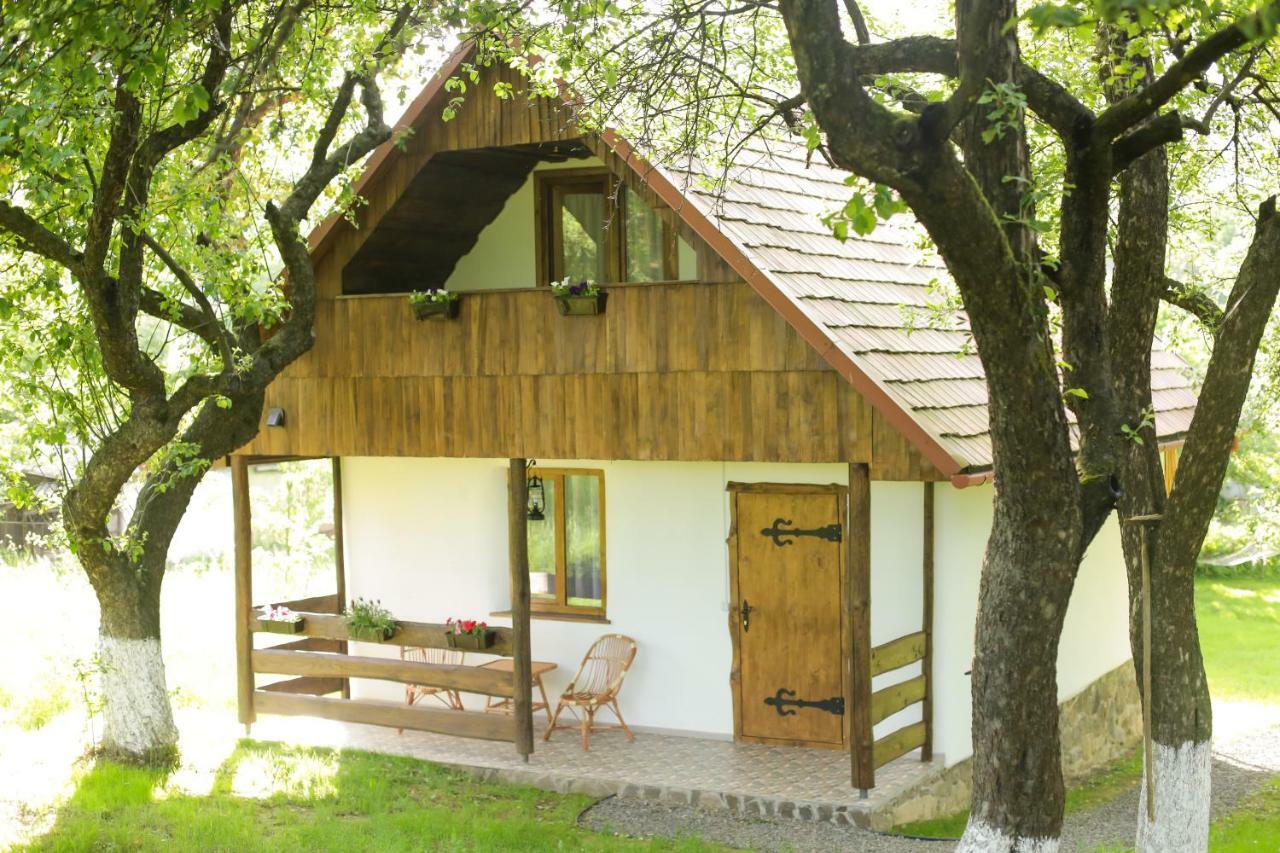 Еко Дім З Соломи Villa Solochin Exterior photo