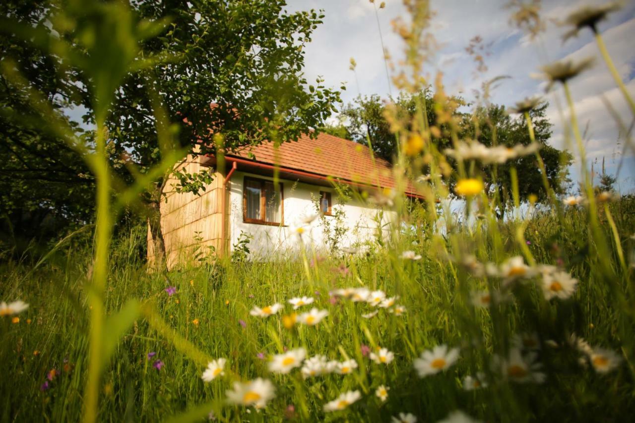 Еко Дім З Соломи Villa Solochin Exterior photo