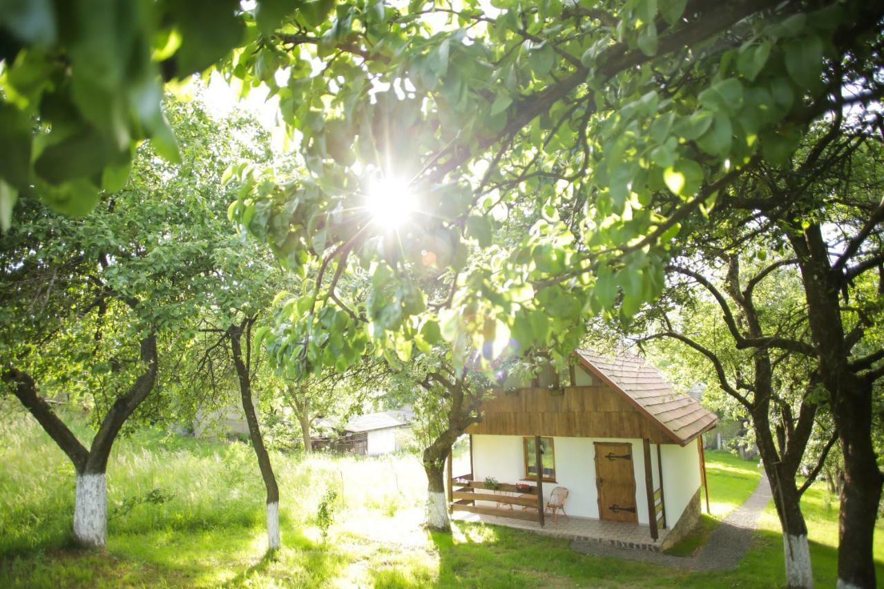 Еко Дім З Соломи Villa Solochin Exterior photo